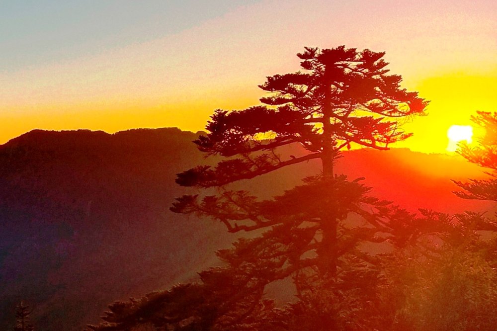 日月潭+清境農場+合歡山夕陽+星空 3天2夜